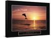 Goals - Dolphin-Unknown Unknown-Framed Stretched Canvas