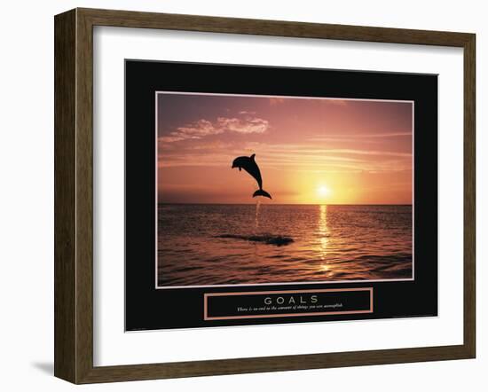 Goals - Dolphin-Unknown Unknown-Framed Photo