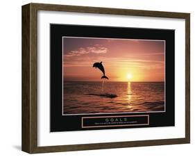 Goals - Dolphin-Unknown Unknown-Framed Photo