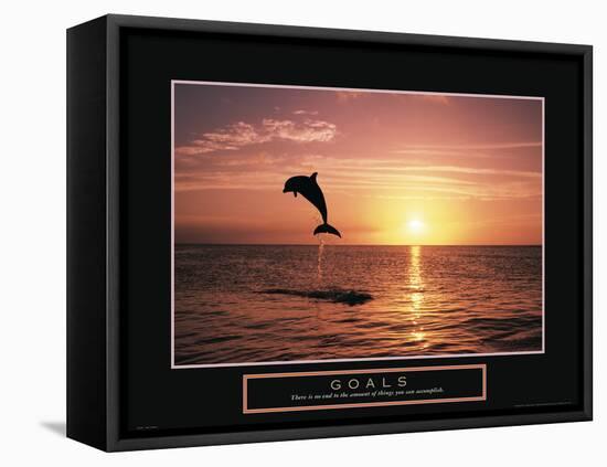 Goals - Dolphin-Unknown Unknown-Framed Stretched Canvas