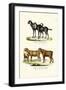 Goat, 1824-Karl Joseph Brodtmann-Framed Giclee Print