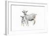 Goat and Kid-Emily Adams-Framed Art Print