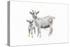 Goat and Kid-Emily Adams-Stretched Canvas