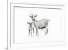 Goat and Kid-Emily Adams-Framed Premium Giclee Print