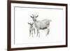 Goat and Kid-Emily Adams-Framed Premium Giclee Print