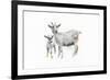 Goat and Kid-Emily Adams-Framed Premium Giclee Print