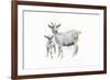 Goat and Kid-Emily Adams-Framed Art Print