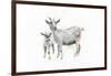 Goat and Kid-Emily Adams-Framed Art Print