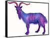 Goat Capricorn, 1996-Jane Tattersfield-Framed Stretched Canvas