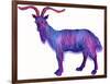 Goat Capricorn, 1996-Jane Tattersfield-Framed Giclee Print