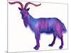 Goat Capricorn, 1996-Jane Tattersfield-Mounted Giclee Print