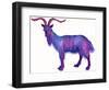 Goat Capricorn, 1996-Jane Tattersfield-Framed Giclee Print