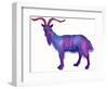 Goat Capricorn, 1996-Jane Tattersfield-Framed Giclee Print