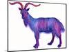 Goat Capricorn, 1996-Jane Tattersfield-Mounted Giclee Print