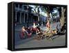 Goat Cart with Children on a Sunday in the Plaza De La Revolucion, Bayamo, Cuba, West Indies-R H Productions-Framed Stretched Canvas