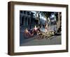 Goat Cart with Children on a Sunday in the Plaza De La Revolucion, Bayamo, Cuba, West Indies-R H Productions-Framed Photographic Print