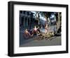 Goat Cart with Children on a Sunday in the Plaza De La Revolucion, Bayamo, Cuba, West Indies-R H Productions-Framed Photographic Print