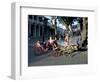 Goat Cart with Children on a Sunday in the Plaza De La Revolucion, Bayamo, Cuba, West Indies-R H Productions-Framed Photographic Print