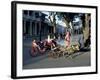 Goat Cart with Children on a Sunday in the Plaza De La Revolucion, Bayamo, Cuba, West Indies-R H Productions-Framed Photographic Print