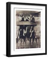 Goat Chorus Line-Theo Westenberger-Framed Photographic Print