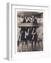 Goat Chorus Line-Theo Westenberger-Framed Photographic Print