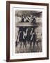 Goat Chorus Line-Theo Westenberger-Framed Photographic Print