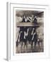 Goat Chorus Line-Theo Westenberger-Framed Photographic Print