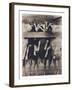 Goat Chorus Line-Theo Westenberger-Framed Photographic Print