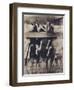 Goat Chorus Line-Theo Westenberger-Framed Art Print