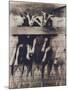 Goat Chorus Line-Theo Westenberger-Mounted Art Print