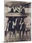 Goat Chorus Line-Theo Westenberger-Mounted Art Print