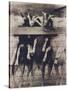 Goat Chorus Line-Theo Westenberger-Stretched Canvas