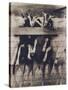 Goat Chorus Line-Theo Westenberger-Stretched Canvas