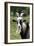 Goat Close-Up Head in Meadow-null-Framed Photographic Print