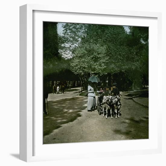 Goat-Drawn Carriage at the Jardin D'Acclimatation, Paris (XVIth Arrondissement), Circa 1895-Leon, Levy et Fils-Framed Photographic Print