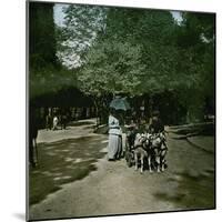 Goat-Drawn Carriage at the Jardin D'Acclimatation, Paris (XVIth Arrondissement), Circa 1895-Leon, Levy et Fils-Mounted Photographic Print