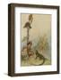 Goat-Face and the Lizard-Warwick Goble-Framed Photographic Print