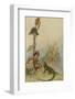 Goat-Face and the Lizard-Warwick Goble-Framed Photographic Print