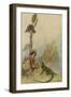 Goat-Face and the Lizard-Warwick Goble-Framed Photographic Print