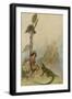 Goat-Face and the Lizard-Warwick Goble-Framed Photographic Print