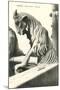 Wood Mount