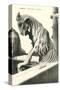 Stretched Canvas
