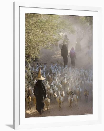 Goat Herder, Al Wadi Dawan, Nr Wadi Hadhramawt, Yemen-Peter Adams-Framed Photographic Print