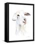 Goat I-Lanie Loreth-Framed Stretched Canvas