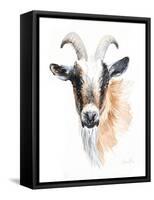 Goat II-Lanie Loreth-Framed Stretched Canvas