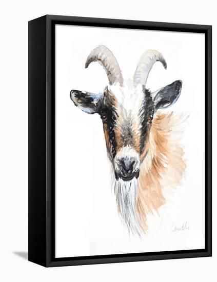 Goat II-Lanie Loreth-Framed Stretched Canvas