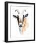 Goat II-Lanie Loreth-Framed Art Print