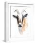 Goat II-Lanie Loreth-Framed Art Print