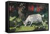 Goat in the Garden, C. 1903-5-Hans Am Ende-Framed Stretched Canvas