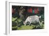 Goat in the Garden, C. 1903-5-Hans Am Ende-Framed Giclee Print